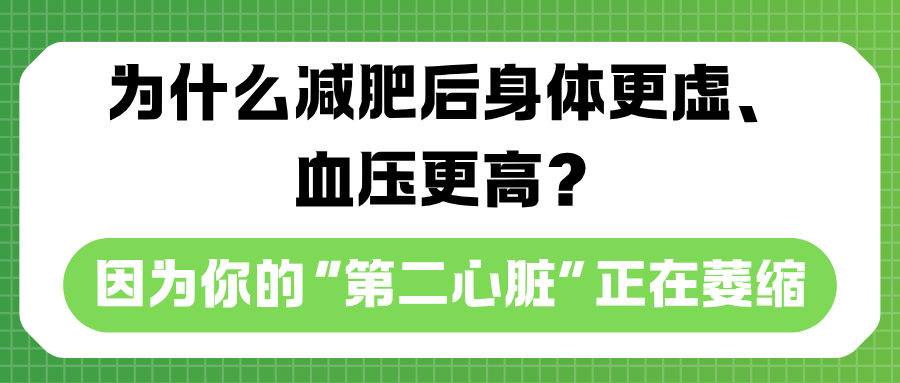 为什么减肥后身体更虚、血压更高？因为你的“第二心脏”正在萎缩